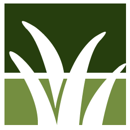 Buzz Tree Debris Removal