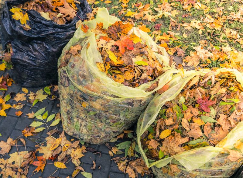 Autumn Leaf Removal in Honolulu, HI