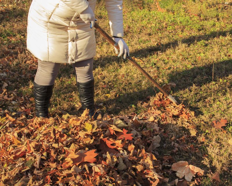 Lawn Cleanup Service in Honolulu, HI