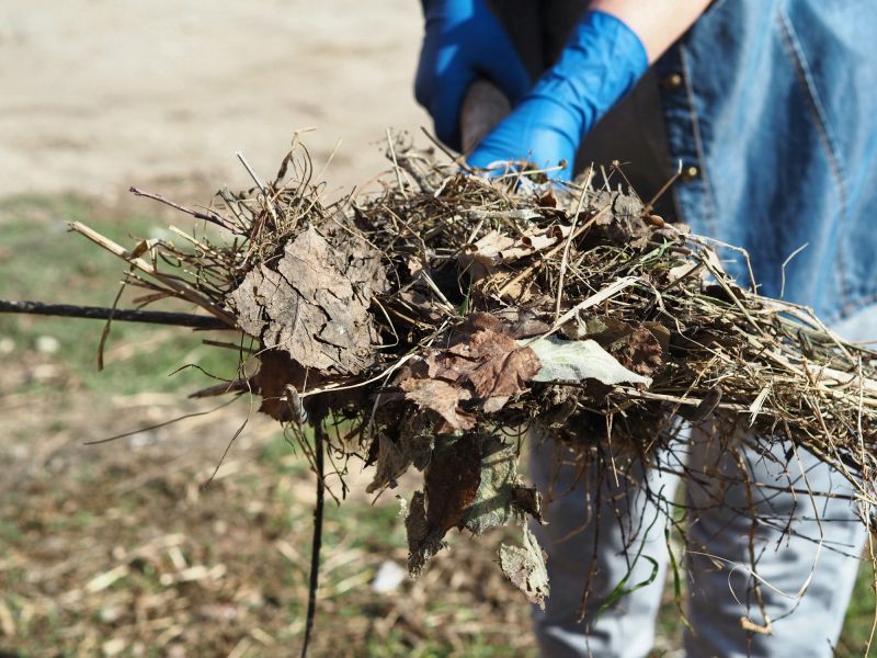 Lawn Debris Cleanup in Ventura County, CA