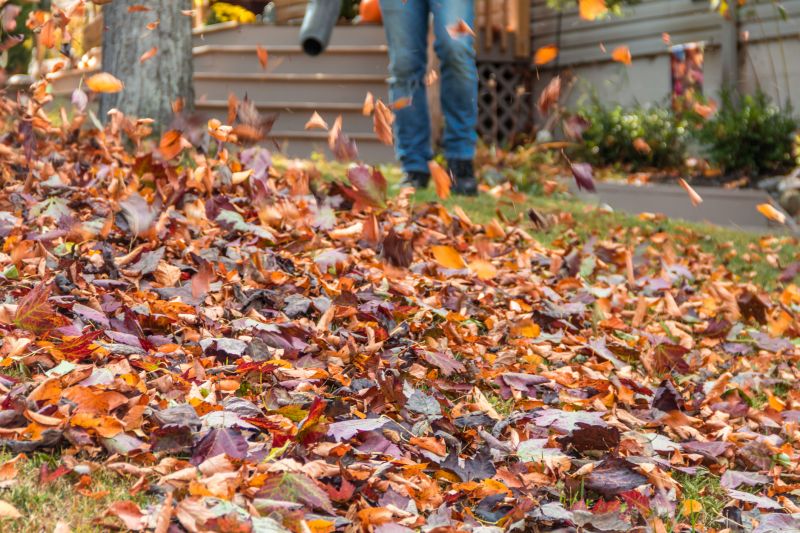 Spring Lawn Cleanup in Ventura County, CA